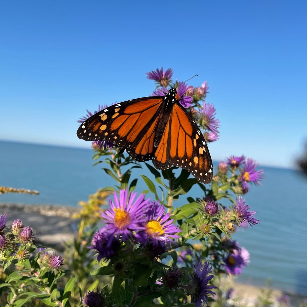 Meet your Posher, Kristina